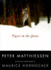 Peter Matthiessen / Tigers in the Snow (Coffee Table Book)