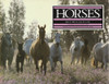 Kit Houghton / Horses (Coffee Table Book)