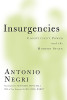 Antonio Negri / Insurgencies: Constituent Power and the Modern State (Coffee Table Book)