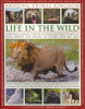 Michael Chinery / Life in the Wild (Coffee Table Book)
