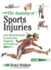 Brad Walker / Sports Injuries: Your Illustrated Guide to Prevention, Diagnosis and Treatment 2nd Revised edition (Coffee Table Book)