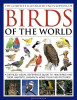 David Alderton / The Complete Illustrated Encyclopedia of Birds of the World: A Detailed Visual Reference Guide To 1600 Birds And Their Habitats, Shown In More Than 1800 Pictures (Coffee Table Book)
