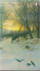 Thomas Hardy / Selected Poems (Vintage Paperback)