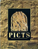 Anna Ritchie / Picts (Coffee Table Book)