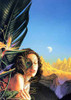 Mark Harrison / Dreamlands (Coffee Table Book)