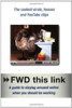 Rhodri Marsden / FWD This Link