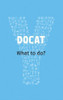 YOUCAT Foundation / DOCAT: What to do