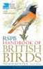 Peter Holden / RSPB Handbook of British Birds (Large Paperback)