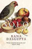 Rana Dasgupta / Solo