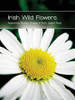Ruth Isabel Rose - Irish Wild Flowers (Appletree Pocket Guides) - PB - BRAND NEW