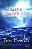 Tim Bowler / Midget / Dragon's Rock