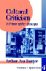 Arthur Asa Berger / Cultural Criticism (Large Paperback)