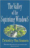 Brinsley MacNamara / Valley of the Squinting Windows (Large Paperback)