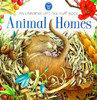 Debbie Martin / Animal Homes (Children's Picture Book)