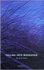 Gerald Hull / Falling into Monaghan (Salmon Poetry) (Unused)