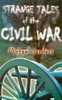 Michael S. Sanders / Strange Tales of the Civil War (Large Paperback)