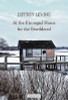 Jeffrey Levine / At the Kinnegad Home for the Bewildered (Salmon Poetry) (Unused)