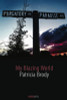 Patricia Brody / My Blazing World (Salmon Poetry) (Unused)