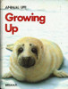 Kate Londesborough / Growing up: Animal Life (Children's Coffee Table book)