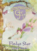 Titania Woods / Fledge Star (Hardback)