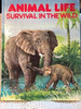 Karen O'Callaghan / Animal Life: Survival in the Wild (Children's Coffee Table book)