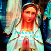 Christina Rodenbeck / Madonna in My Pocket (Hardback)