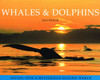 John Birdsall / Whales and Dolphins (Coffee Table Book)