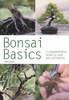 Colin Lewis / Bonsai Basics (Large Paperback)