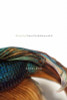 Aimee Nezhukumatathil / Lucky Fish (Large Paperback)