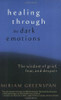 Miriam Greenspan / Healing through the Dark Emotions (Large Paperback)