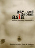 Gerard Sullivan / Gay and Lesbian Asia (Large Paperback)