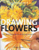 Margaret Stevens / An Introduction To Drawing Flowers (Coffee Table Book)