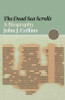 John J. Collins / The Dead Sea Scrolls (Large Paperback)