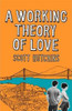 Scott Hutchins / A Working Theory of Love (Large Paperback)