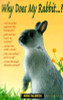 Anne McBride / Why Does My Rabbit . . . ? (Large Paperback)