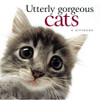 Pam Brown / Utterly Gorgeous Cats (Hardback)