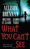 Allison Brennan / What You Can't See