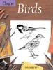 David Brown / Draw Birds (Coffee Table Book)