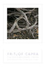 Fritjof Capra / The Hidden Connections (Hardback)