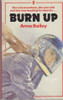 Anne Bailey / Burn Up (Hardback)