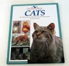 Yvonne Rees / Cats (Coffee Table Book)