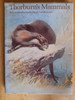 Archibald Thorburn- Thorburn's Mammals - HB Book Club Edition 1974  4