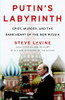 Steve LeVine / Putin's Labyrinth