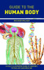 Richard Walker / Guide to the Human Body (Hardback)