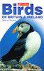 Dominic Couzens / Birds of Britain and Ireland (Large Paperback)