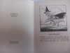 Heinemann Publishing - Mother Goose Nursery Rhymes - HB - (Illusrated by Arthur Rackham ) - 1958