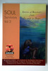 John Rice / Soul Survivors Vol. 3 (Large Paperback)
