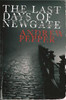 Andrew Pepper / The Last Days of Newgate (Large Paperback)