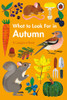 What to Look For in Autumn (Ladybird)