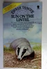 Derek Tangye / Sun on the Lintel (Older Edition Small Paperback)